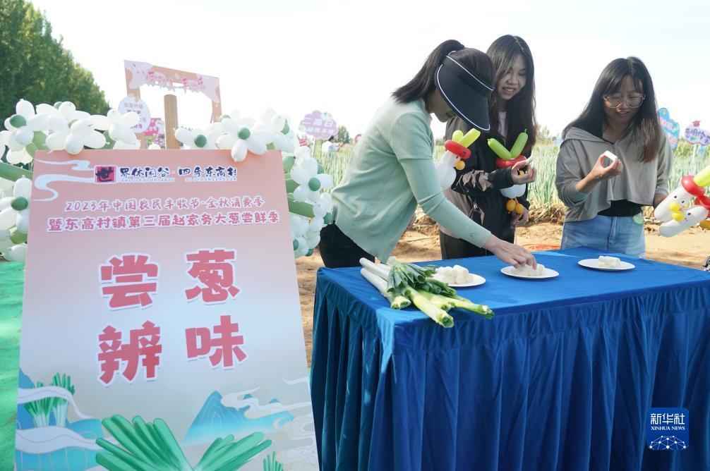 捕鱼游戏赚钱知乎